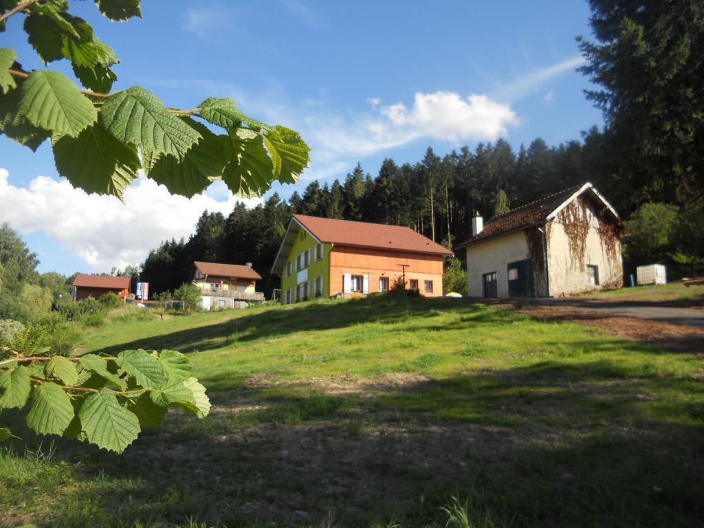 Gites Du Saut Des Cuves Xonrupt-Longemer Kültér fotó